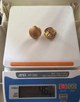 Golden Solstice Earrings