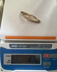 Hinged Hoop Earring