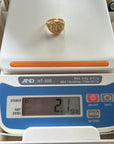 Royal Crest Signet